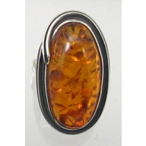 RM R-0501 AMB