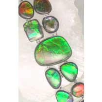 IGB BR-029 AML  (Ammolite)
