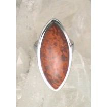 IGB R-0027 JS