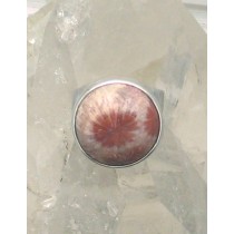 SB R-0387 FC