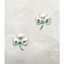 SN ER-0413  (Shamrock)